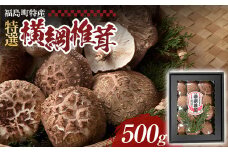 【数量限定】《先行予約》福島町特産・特選「横綱椎茸」500g ふるさと納税 人気 おすすめ ランキング きのこ キノコ しいたけ シイタケ 椎茸 特産 特選 原木栽培 横綱 食品 食材 料理 贈答 贈り物 ギフト プレゼント 北海道 福島町 送料無料 FKG001
