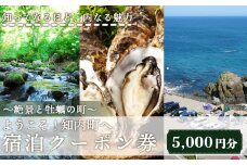 ～絶景と牡蠣の町～ ようこそ！知内町へ☆宿泊クーポン5,000円分