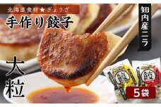北海道の食材たっぷり！手作り餃子５袋セット＜スリーエス＞