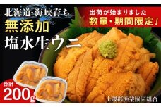 【2025年6月中旬以降発送】 キタムラサキウニ 100g×2パック 上磯郡漁業協同組合