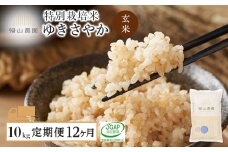 【令和7年産新米予約】【定期便 12ヶ月】特別栽培米産地直送 ゆきさやか 10kg×12回 《帰山農園》 