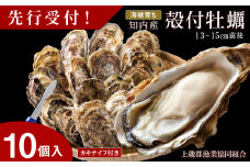 【2025年3月中旬以降発送】海峡育ち 殻付き牡蠣 10個入り カキナイフ付＜上磯郡漁業協同組合＞ 生牡蠣 かき カキ 貝 海鮮 BBQ 鍋 ギフト