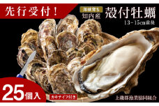 【2025年3月中旬以降発送】海峡育ち 殻付き牡蠣 25個入り カキナイフ付＜上磯郡漁業協同組合＞ 生牡蠣 かき カキ 貝 海鮮 BBQ 鍋 ギフト