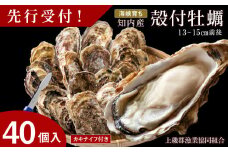 【2025年3月中旬以降発送】海峡育ち 殻付き牡蠣 40個入り カキナイフ付＜上磯郡漁業協同組合＞ 生牡蠣 かき カキ 貝 海鮮 BBQ 鍋 ギフト
