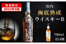 【2023年引き揚げ】知内海底熟成ウイスキー B 洋酒 海底酒