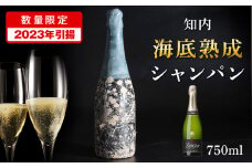 【2023年引き揚げ】知内海底熟成シャンパン E 熟成　海底　ワイン　酒　シャンパン