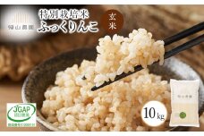 【令和7年産新米予約】玄米　ふっくりんこ 10kg特別栽培米産地直送《帰山農園》
