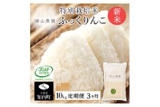 【令和7年産新米予約】【6カ月定期便】特別栽培米産地直送「ふっくりんこ 10kg」《帰山農園》