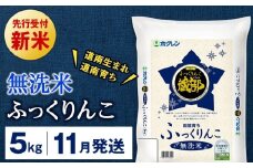 新米予約 【11月発送】 無洗米　ふっくりんこ 5kg 【JA新はこだて】