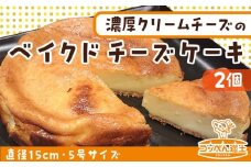 北海道 濃厚クリームチーズのベイクドチーズケーキ 2個 チーズケーキ クリームチーズ 濃厚 ホール ケーキ 洋菓子 焼き菓子 スイーツ デザート おやつ 道の駅 冷凍 お取り寄せ ベーカリーギフト 贈答用 送料無料 木古内 木古内町