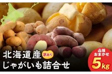 北海道産 じゃがいも 訳あり 5kg"お楽しみランダム"きたあかり メークイン ノーザンルビー レッドムーン 北海黄金