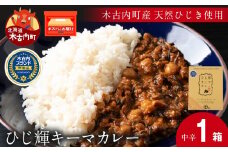【木古内町産 天然ひじき】ひじ輝キーマカレー　×1箱