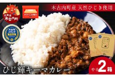 【木古内町産 天然ひじき】ひじ輝キーマカレー　×2箱