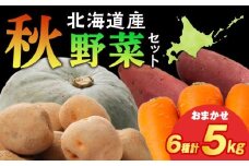 【2025年10月上旬以降順次発送】秋野菜 詰め合わせ 6種 計5kg　サツマイモ・かぼちゃ・じゃがいも・にんじん・他おたのしみ秋野菜