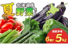 【2025年夏発送】秋山農園のおすすめ夏野菜セット5kg　5種　野菜詰め合わせ