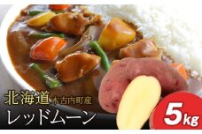 【10月発送！】【秋山農園】北海道産 レッドムーン5kg