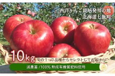 【先行予約】令和7年9月下旬頃発送　北海道七飯町産 りんご 10kg 有機質肥料使用 【 ふるさと納税 人気 おすすめ ランキング りんご  減農薬 除草剤不使用 元祖 詰め合わせ おいしい 北海道 七飯町 送料無料 】 NAR003