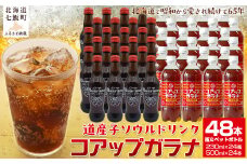 コアップガラナ48本セット 道産子ソウルドリンク！ファンに大人気！ ふるさと納税 人気 おすすめ ランキング コアップガラナ ガラナ 道産子ソウルドリンク 北海道代表 ご当地 北海道 七飯町 送料無料 NAQ001