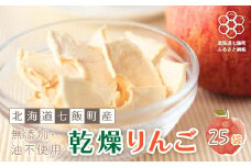 無添加 りんごチップス 25袋パック （乾燥りんご）  北海道産りんごそのまんま ふるさと納税 人気 おすすめ ランキング りんごチップス 無添加 ドライアップル あまい 北海道 七飯町 送料無料 NAI001