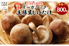 王様生しいたけパック 大容量800g 福田農園 【 ふるさと納税 人気 おすすめ ランキング しいたけ 王様 王様しいたけ シイタケ 椎茸 北海道 七飯町 送料無料 】 NAT004