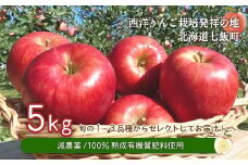 【先行予約】令和7年9月下旬頃発送　北海道七飯町産 りんご 5kg 有機質肥料使用 【 ふるさと納税 人気 おすすめ ランキング りんご  減農薬 除草剤不使用 元祖 詰め合わせ おいしい 北海道 七飯町 送料無料 】NAR002