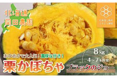 【先行予約 令和7年9月発送】北海道産栗かぼちゃ（ブラックのジョー）8kg 【 ふるさと納税 人気 おすすめ ランキング かぼちゃ 栗かぼちゃ ブラックのジョー 北海道 七飯町 送料無料 】 NAZ002