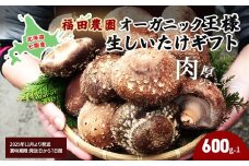 【2025年11月より発送】オーガニック王様生しいたけギフト 肉厚ジューシー 福田農園 【 ふるさと納税 人気 おすすめ ランキング しいたけ 王様 王様しいたけ シイタケ 椎茸 北海道 七飯町 送料無料 年越し 新年 年賀 おせち お餅 雑煮 手土産 贈答 送料無料 】 NAT001