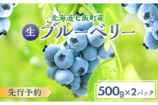 【先行予約】 令和7年7月下旬頃より発送  北海道七飯町産 生ブルーベリー 500g×2パック  ふるさと納税 人気 おすすめ ランキング 生ブルーベリー 旬 フルーツ 季節限定 おいしい 甘酸っぱい 北海道 七飯町 送料無料 NAR001