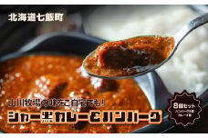 山川牧場育ちのジャー黒カレー&ハンバーグBセット（計8個） お手軽おかず ふるさと納税 人気 おすすめ ランキング 山川牧場 ジャー黒カレー ハンバーグ セット お手軽 おかず 北海道 七飯町 送料無料 NAN002
