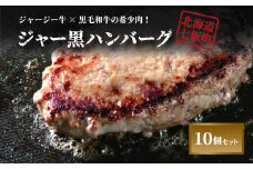 山川牧場育ちのジャー黒ハンバーグセット（計10個） お手軽おかず！ ふるさと納税 人気 おすすめ ランキング 山川牧場 ジャー黒カレー ハンバーグ セット お手軽 おかず 北海道 七飯町 送料無料 NAN003