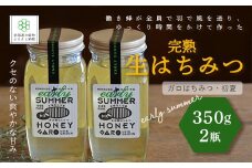 完熟生はちみつ ガロはちみつ・初夏(アカシア)（350g）2瓶セット 大容量サイズ ふるさと納税 人気 おすすめ ランキング はちみつ ガロはちみつ 初夏 アカシア 完熟 生はちみつ 北海道 七飯町 送料無料 NAAB004