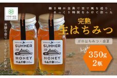 完熟生はちみつ ガロはちみつ・盛夏（350g）2瓶セット 大容量サイズ ふるさと納税 人気 おすすめ ランキング はちみつ ガロはちみつ 盛夏 完熟 生はちみつ 北海道 七飯町 送料無料 NAAB005