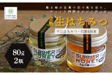 完熟生はちみつ ガロはちみつ・初夏(アカシア)&盛夏 各80g 食べ比べ2瓶セット ふるさと納税 人気 おすすめ ランキング はちみつ ガロはちみつ 盛夏 初夏 スローフード 北海道 七飯町 送料無料 NAAB003