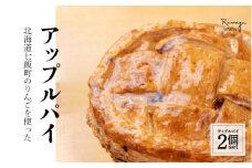 北海道産りんごをたっぷり！サクサクのアップルパイ2個セット ふるさと納税 人気 おすすめ ランキング アップルパイ りんごパイ 北海道産リンゴ 北海道 七飯町 送料無料 NAAA001