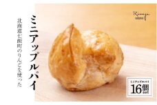 北海道産りんごをたっぷり！一口サイズで食べやすい！サクサクのミニアップルパイ16個セット ふるさと納税 人気 おすすめ ランキング アップルパイ ミニアップルパイ ミニ 北海道産リンゴ 北海道 七飯町 送料無料 NAAA003