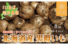 【先行予約 令和7年9月発送】北海道産じゃがいも「男爵」8kg【 ふるさと納税 人気 おすすめ ランキング じゃがいも 男爵 男爵いも 岡田農園 北海道 七飯町 送料無料 】NAZ005