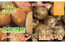 【先行予約 令和7年9月発送】北海道産じゃがいも8kgセット（メークイン4kg、男爵4kg）【 ふるさと納税 人気 おすすめ ランキング じゃがいも メークイン 男爵 産地直送  おいしい 北海道 七飯町 送料無料 】NAZ001