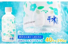 ミネラルウォーター夢水氣（290ml×40本） 天然アルカリイオン水 軟水 【ふるさと納税 人気 おすすめ ランキング 天然アルカリイオン水 天然水 ミネラルウォーター 横津岳山麓 北海道 七飯町 送料無料】 NABI002