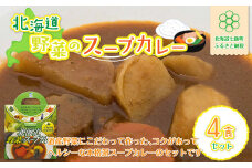  北海道野菜のスープカレー4食セット 北海道産野菜使用 ふるさと納税 人気 おすすめ ランキング 野菜のスープカレー スープカレー 北海道名物 北海道 七飯町 送料無料 NAO018