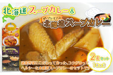  北海道スープカレー&ザ・プレミアム北海道スープカレー2食セット ふるさと納税 人気 おすすめ ランキング  セット レトルト スープカレー カレー おいしい 北海道 七飯町 送料無料 NAO027