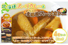  北海道スープカレー&ザ・プレミアム北海道スープカレー4食セット ふるさと納税 人気 おすすめ ランキング  セット レトルト スープカレー カレー おいしい 北海道 七飯町 送料無料 NAO028