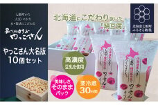老舗豆腐屋さんが誇る、北海道にこだわり抜いた絹豆腐”やっこさん　大名版”10個セット ふるさと納税 人気 おすすめ ランキング やっこさんとうふ 大名版 絹豆腐 詰め合わせ 北海道 七飯町 送料無料 NAS003