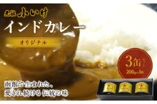 元祖小いけインドカレー オリジナル3缶セット ふるさと納税 人気 おすすめ ランキング インドカレー 元祖小いけ オリジナル 北海道 七飯町 送料無料 NAAN002