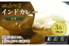 元祖小いけインドカレー 中辛3缶セット ふるさと納税 人気 おすすめ ランキング インドカレー 元祖小いけ 中辛 伝統の味 おいしい 北海道 七飯町 送料無料 NAAN004