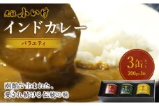 元祖小いけインドカレー バラエティ3缶セット ふるさと納税 人気 おすすめ ランキング インドカレー 元祖小いけ 辛さが特徴 バラエティ 北海道 七飯町 送料無料 NAAN005