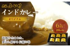 元祖小いけインドカレー オリジナル6缶セット ふるさと納税 人気 おすすめ ランキング インドカレー 元祖小いけ オリジナル 北海道 七飯町 送料無料 NAAN006