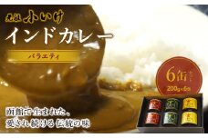元祖小いけインドカレー バラエティ6缶セット ふるさと納税 人気 おすすめ ランキング インドカレー 元祖小いけ 辛さが特徴 バラエティ 北海道 七飯町 送料無料 NAAN009