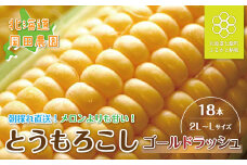 【令和7年発送先行予約】北海道七飯町産とうもろこし「ゴールドラッシュ」18本セット 【 ふるさと納税 人気 おすすめ ランキング とうもろこし ゴールドラッシュ おいしい 北海道 七飯町 送料無料 】  NAZ012