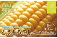 【令和7年発送先行予約】北海道七飯町産とうもろこし「ゴールドラッシュ」8本セット 【 ふるさと納税 人気 おすすめ ランキング とうもろこし ゴールドラッシュ おいしい 北海道 七飯町 送料無料 】 NAZ013
