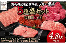 【定期便６か月】山川牧場ジャー黒５種盛セット 【 ふるさと納税 人気 おすすめ ランキング 北海道ブランド牛 牛 牛肉 和牛 ジャー黒 モモ モモ肉 ロース ロース肉 焼き肉 サーロイン ステーキ サーロインステーキ ステーキ肉 牛ステーキ カルビ 定期便 北海道 七飯町 送料無料 】 NAN017